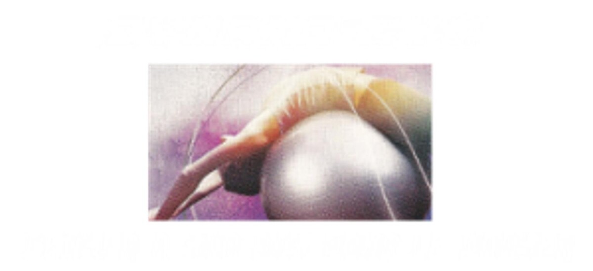 dynamo-gym Logo