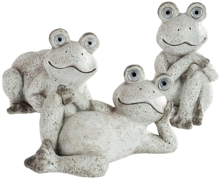 Images LE JARDIN DE ST PIERRE SARL LE TALLEC