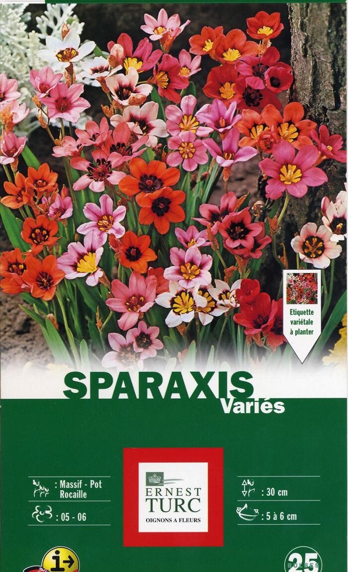 Images LE JARDIN DE ST PIERRE SARL LE TALLEC