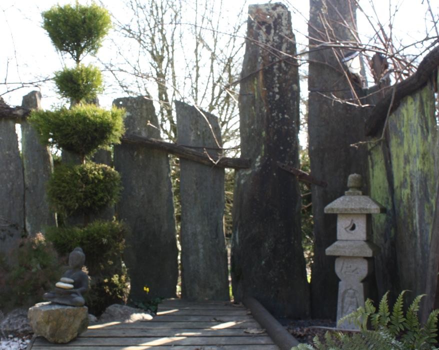 Images Naturopathe Iridologue, massages et soins de bien être