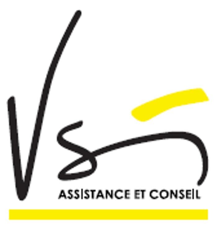 VSI VISA Logo