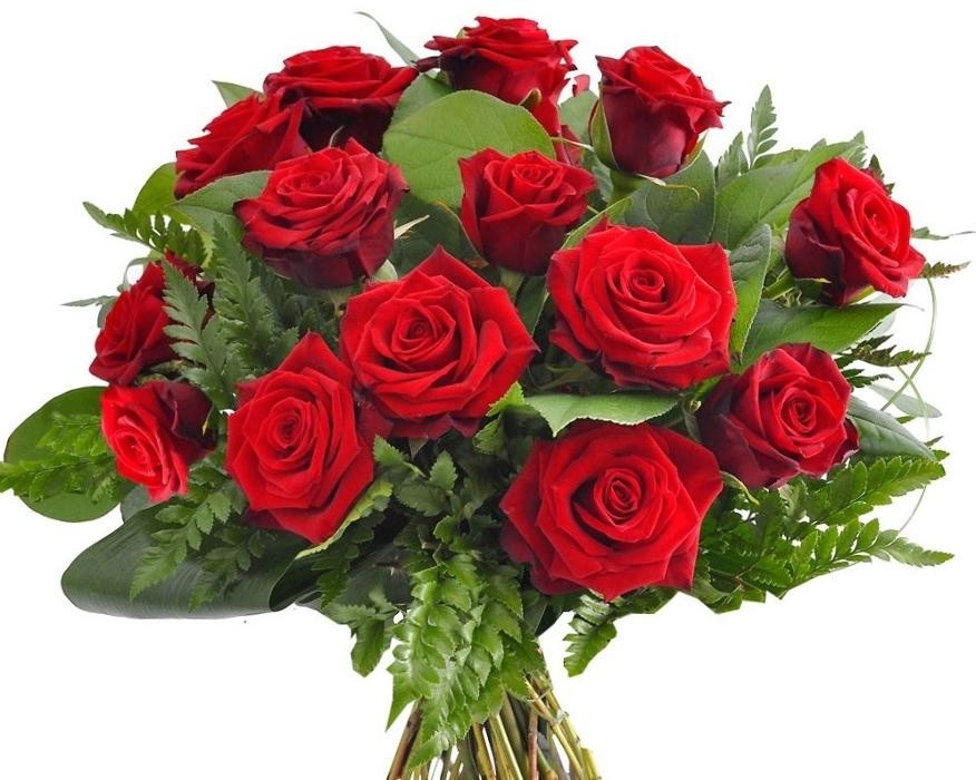 Images Fleurs Daniel GEORGES