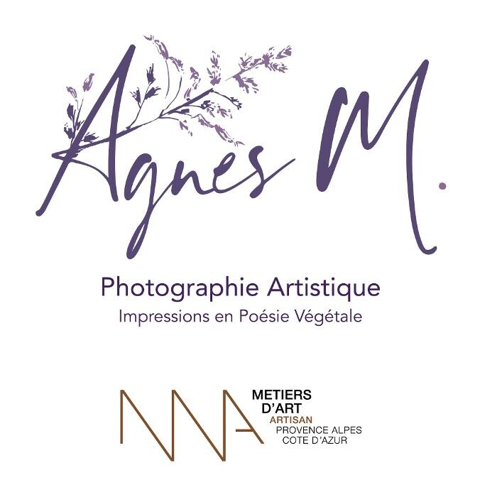 Agnès M. Logo