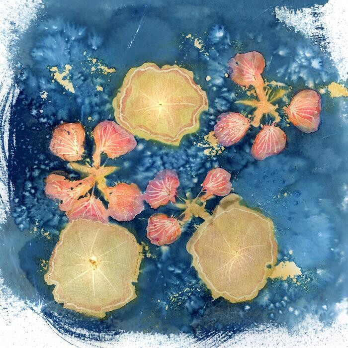 Images Agnès M.