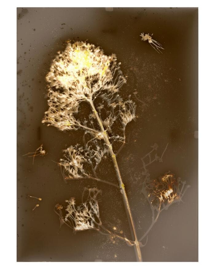 Images Agnès M.