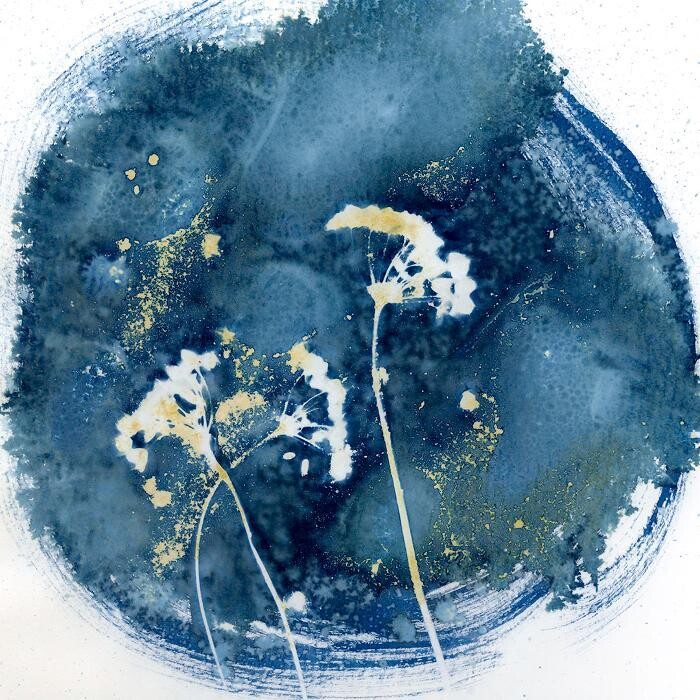 Images Agnès M.