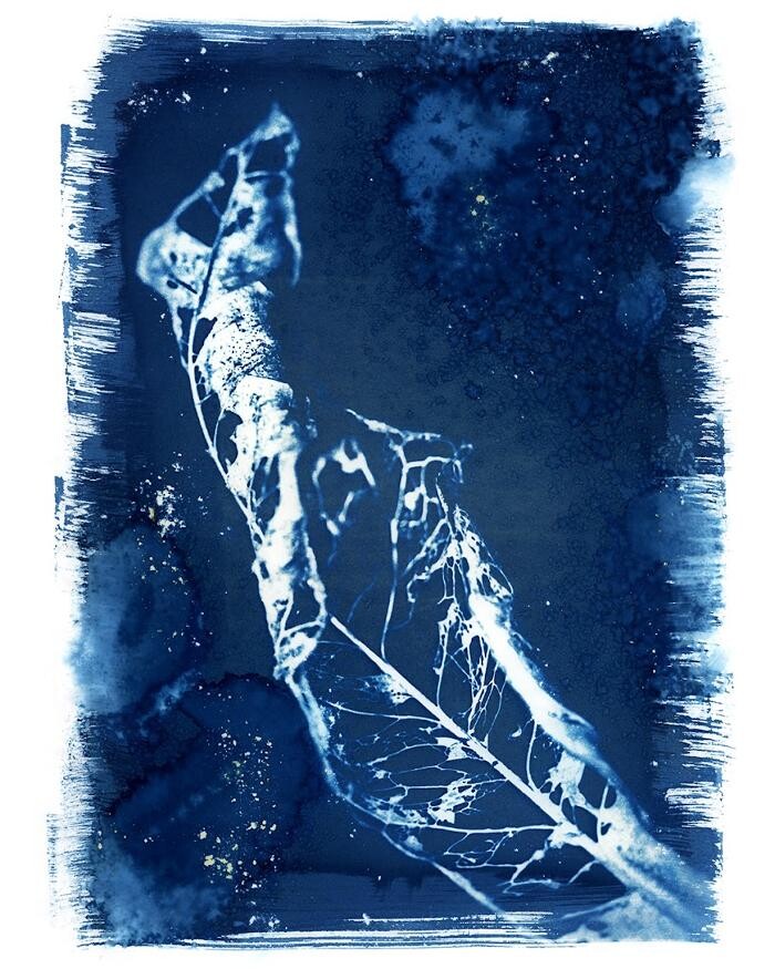 Images Agnès M.