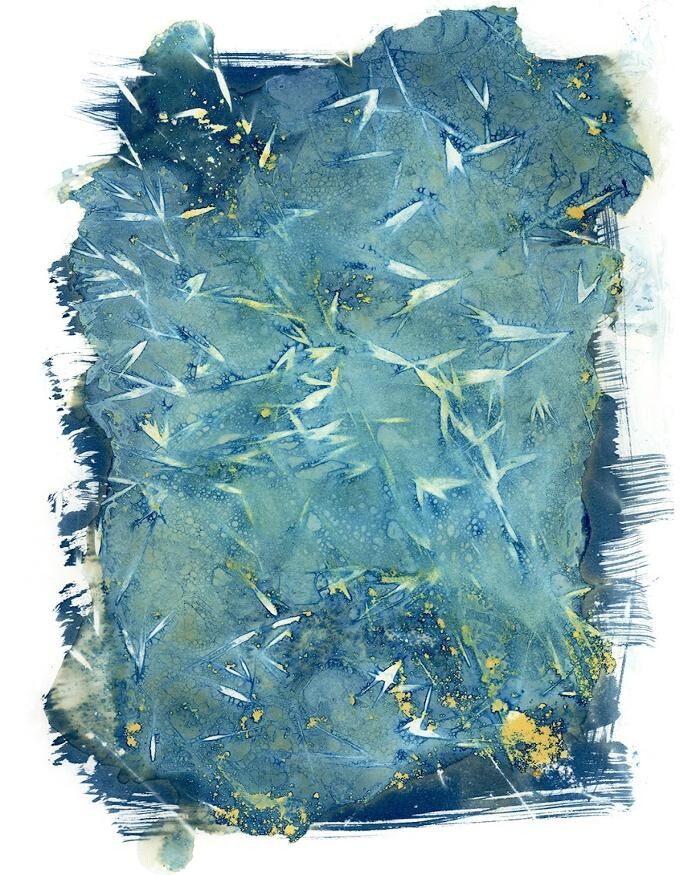 Images Agnès M.