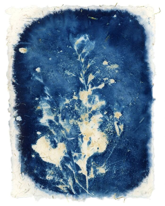 Images Agnès M.