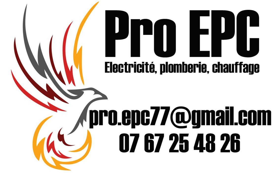 Pro EPC Logo