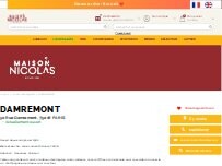 Website Screenshot Nicolas Damremont