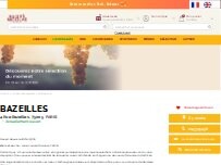 Website Screenshot Nicolas Bazeilles