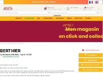 Website Screenshot Nicolas Berthier