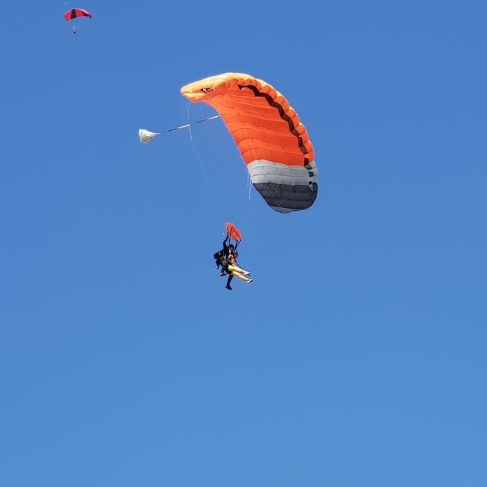 Images Abeille Parachutisme