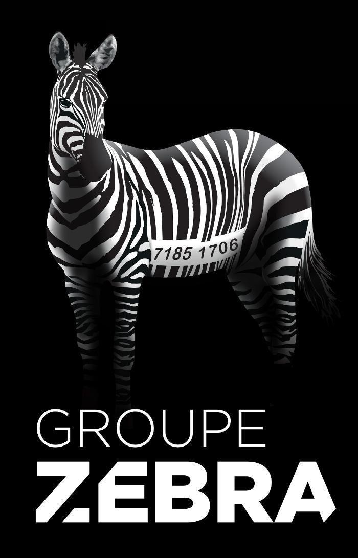 GROUPE ZEBRA Logo