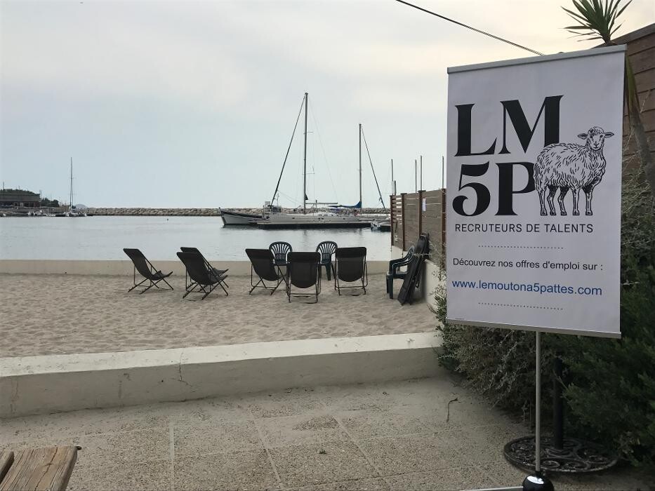 Images LM5P - Le mouton à 5 pattes