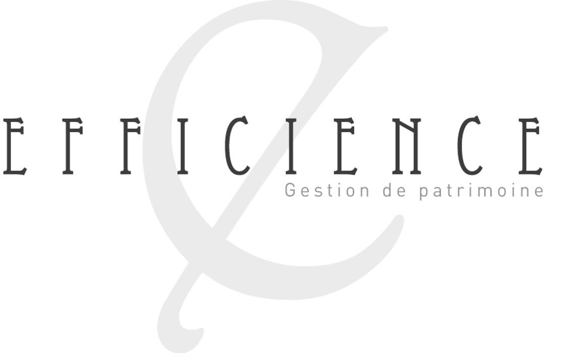 Efficience Groupe Logo