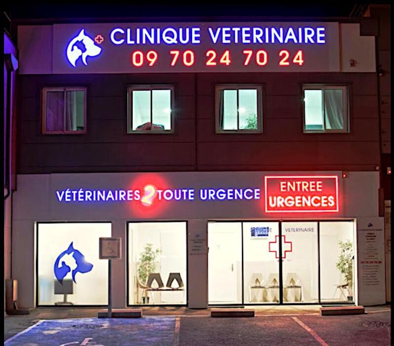 Images Veterinaires 2 Toute Urgence