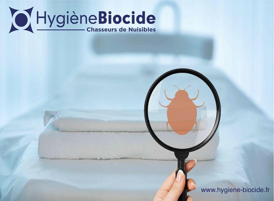 Images Hygiène Biocide - Dératisation Désinsectisation Désinfection Marseille