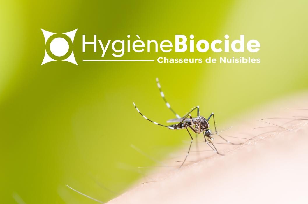 Images Hygiène Biocide - Dératisation Désinsectisation Désinfection Marseille