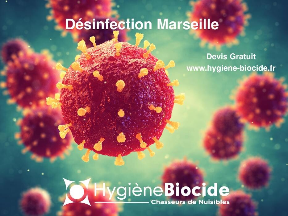 Images Hygiène Biocide - Dératisation Désinsectisation Désinfection Marseille