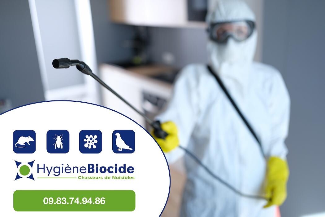 Images Hygiène Biocide - Dératisation Désinsectisation Désinfection Marseille
