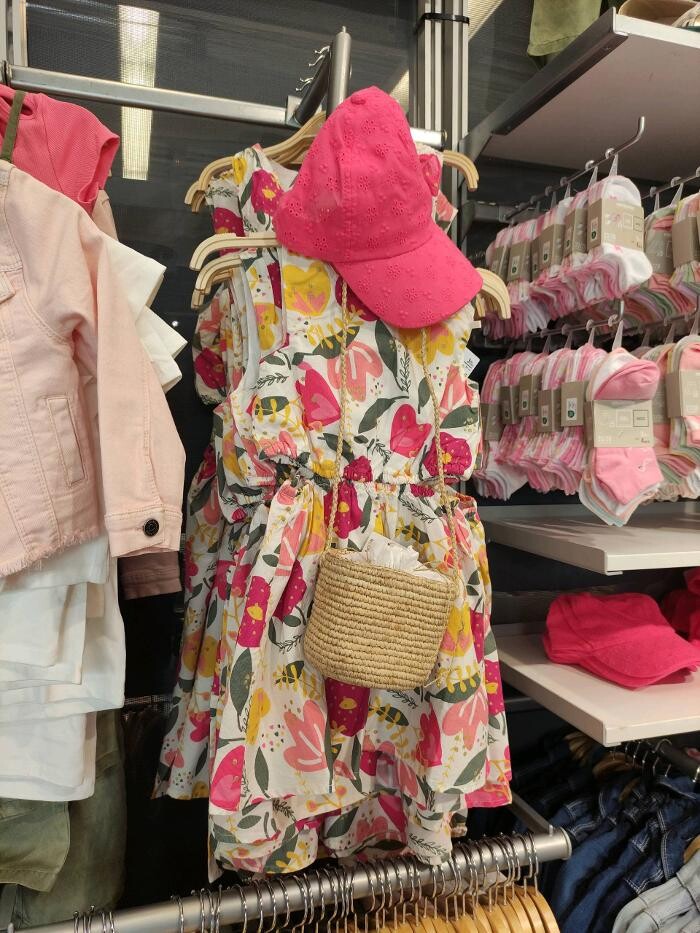 Images Orchestra VIRE