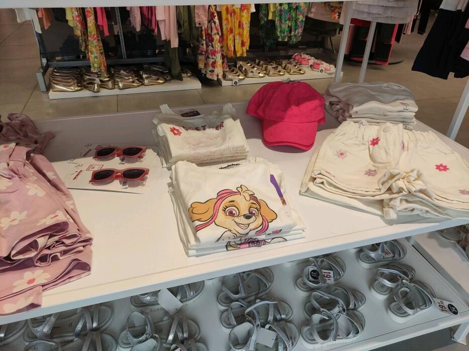 Images Orchestra VIRE