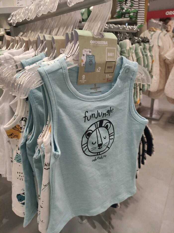 Images Orchestra VIRE