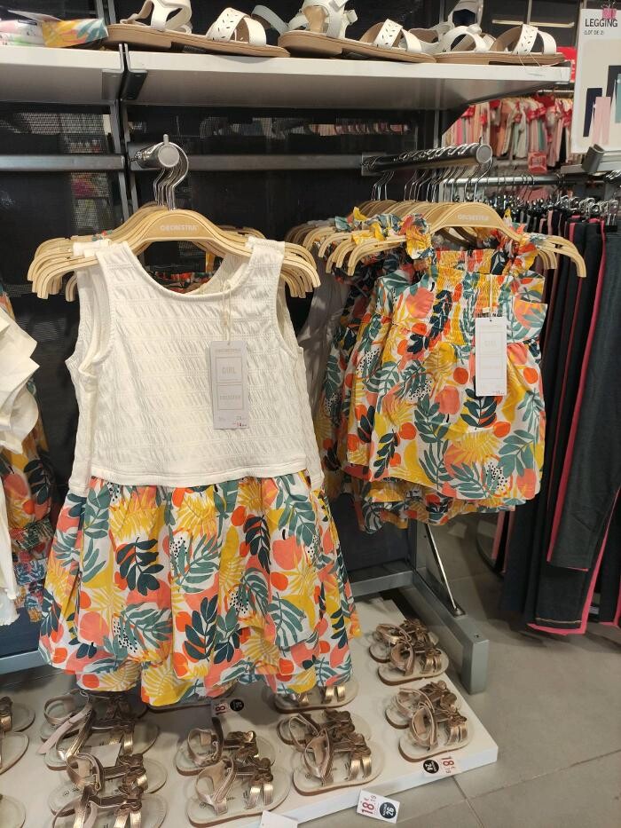 Images Orchestra VIRE