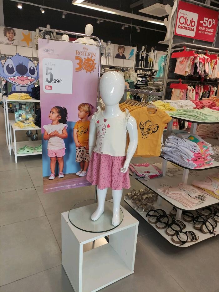 Images Orchestra VIRE