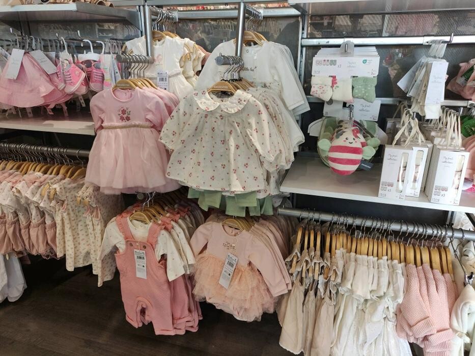 Images Orchestra VIRE