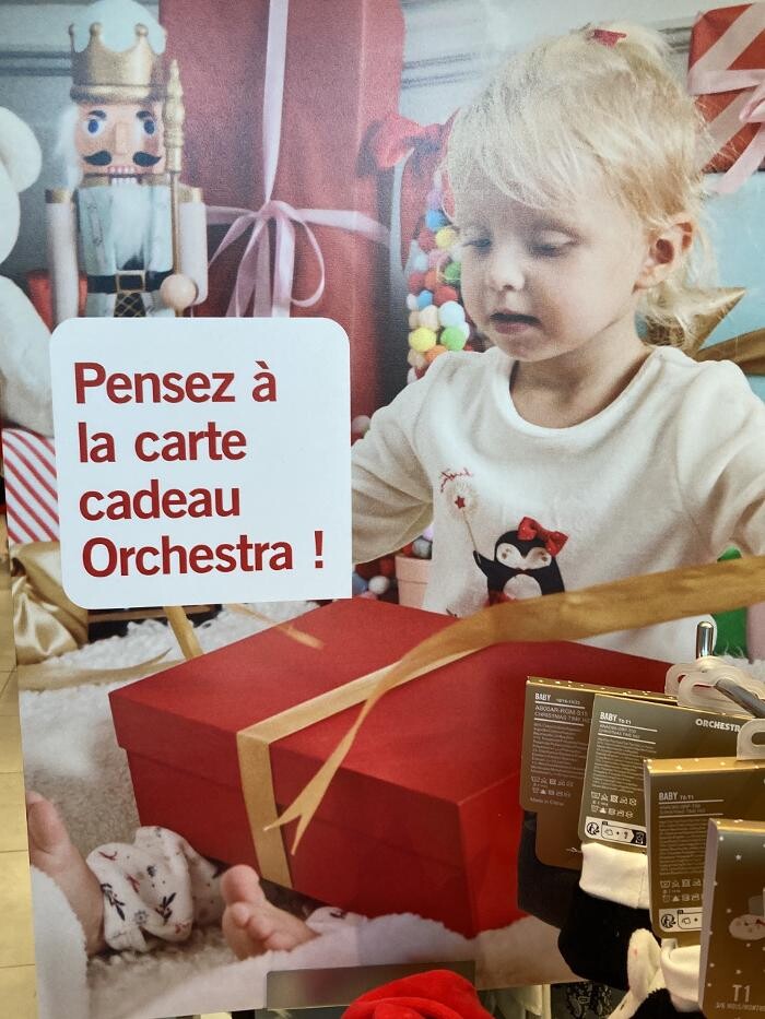 Images Orchestra VIRE