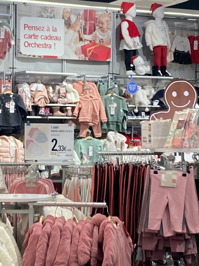 Images Orchestra VIRE