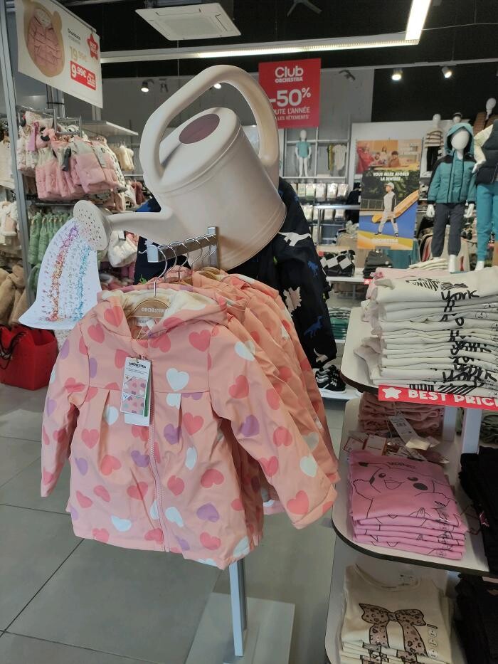 Images Orchestra VIRE