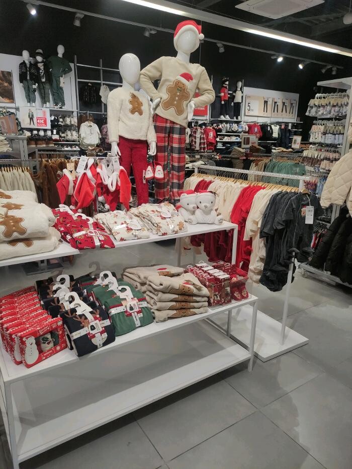 Images Orchestra VIRE