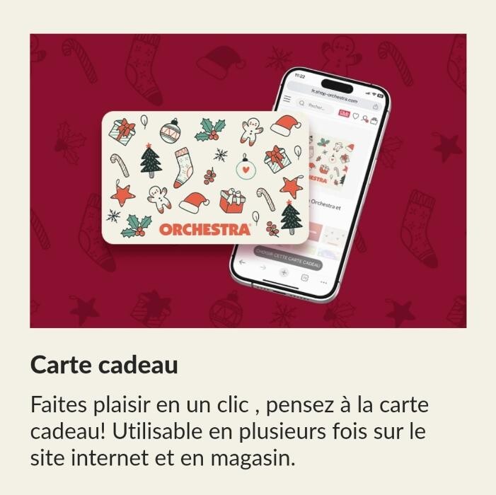 Images Orchestra CARCASSONNE