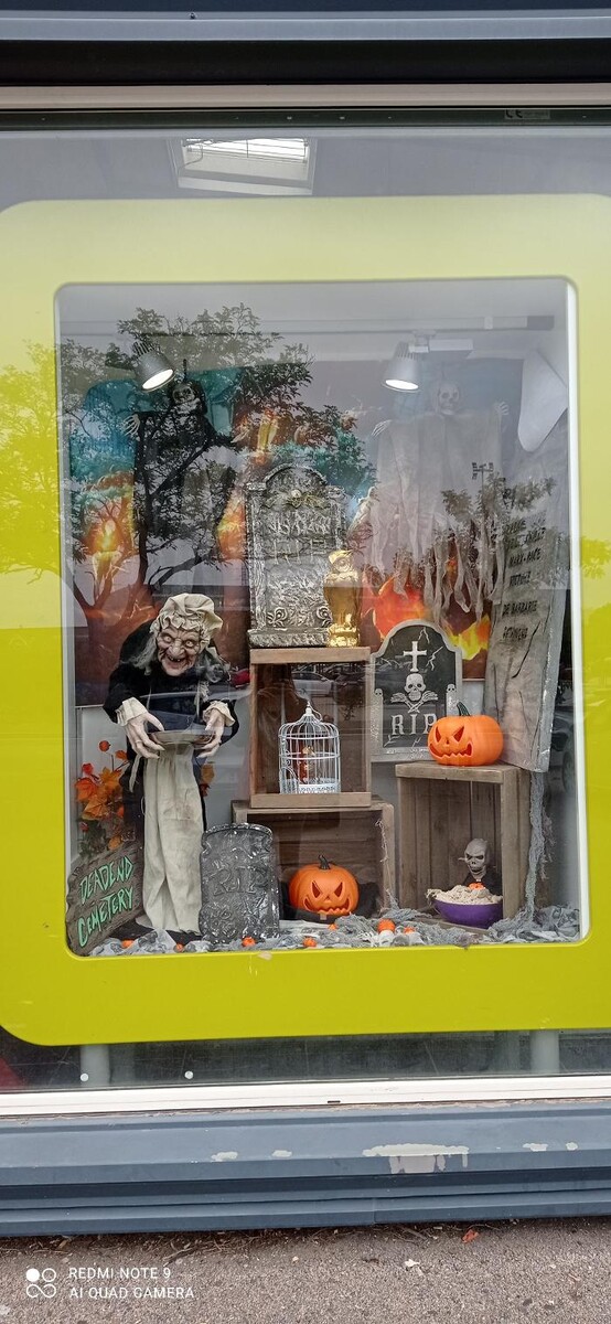 Images Orchestra RIVESALTES