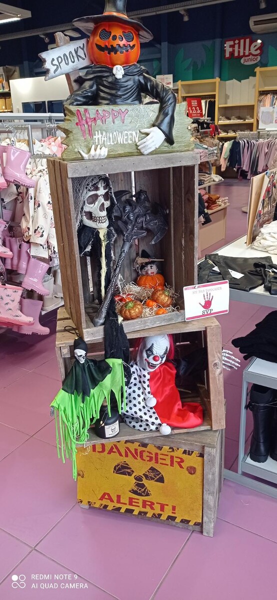 Images Orchestra RIVESALTES