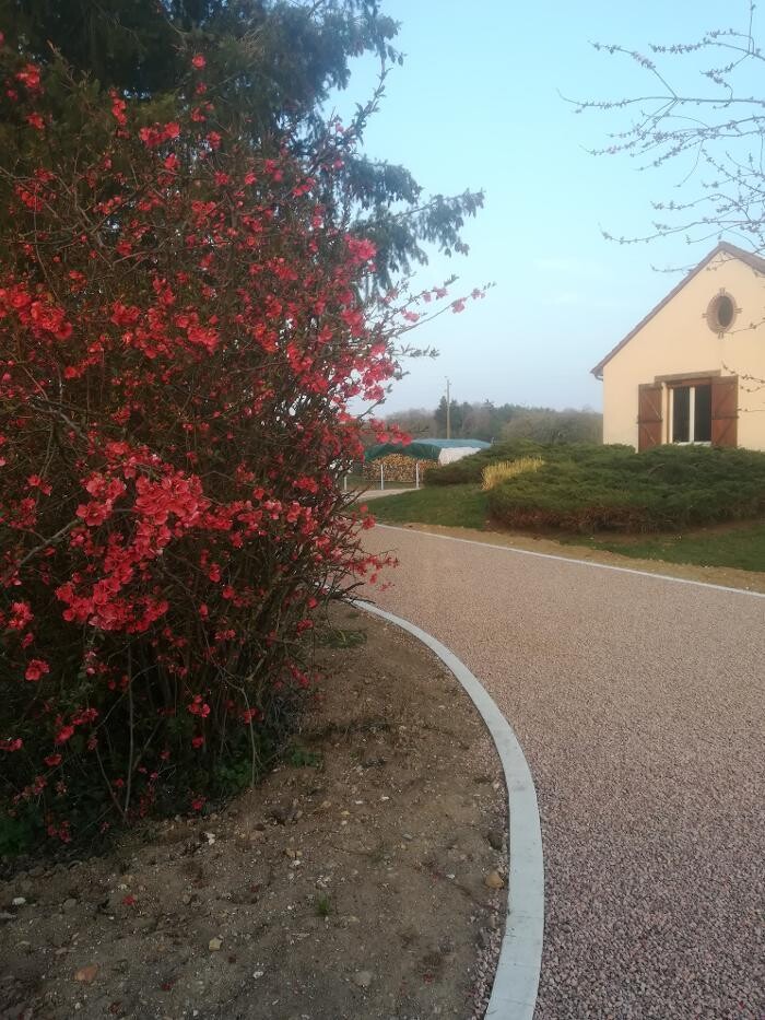 Images Daniel Moquet signe vos allées - Ent. Requet