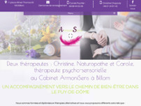 Screenshot for https://www.armonisens.fr