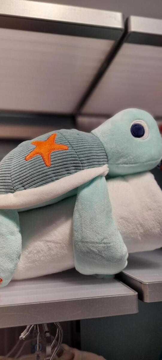 Images OKAIDI BEZIERS CC AUCHAN