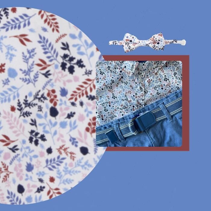 Images OKAIDI ROCHE SUR YON FLANERIES