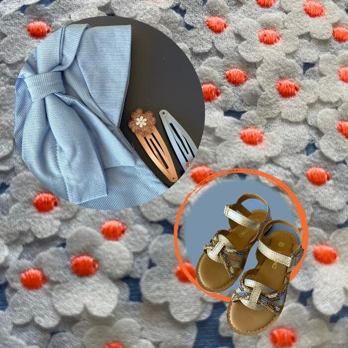 Images OKAIDI ROCHE SUR YON FLANERIES