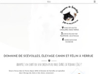 Screenshot for https://www.domainedescevolles.fr