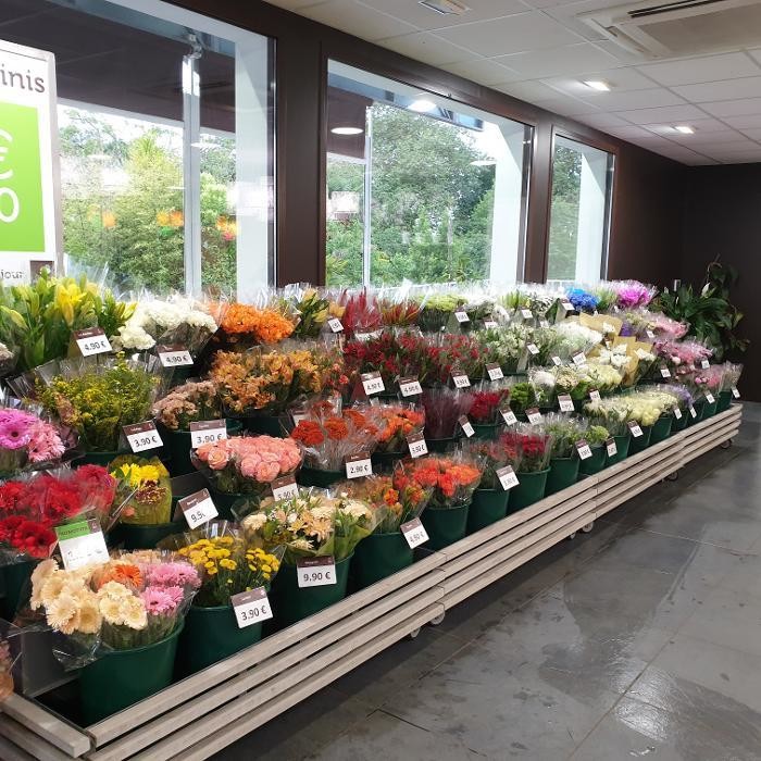 Images Carrément Fleurs - Fleuriste Bayonne 64 - Livraison de fleurs à domicile