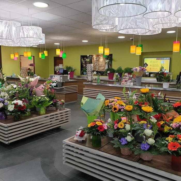 Images Carrément Fleurs - Fleuriste Bayonne 64 - Livraison de fleurs à domicile