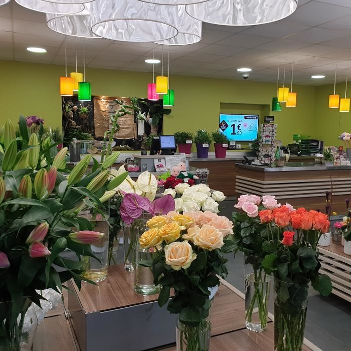 Images Carrément Fleurs - Fleuriste Bayonne 64 - Livraison de fleurs à domicile