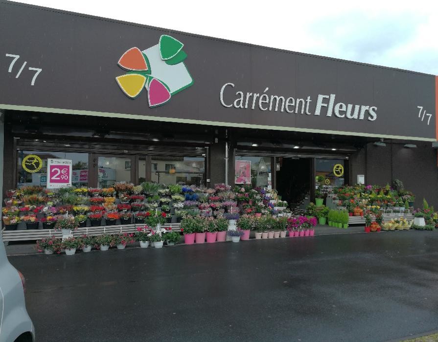 Images Carrément Fleurs - Fleuriste Clermont-Ferrand 63 - Livraison de fleurs à domicile