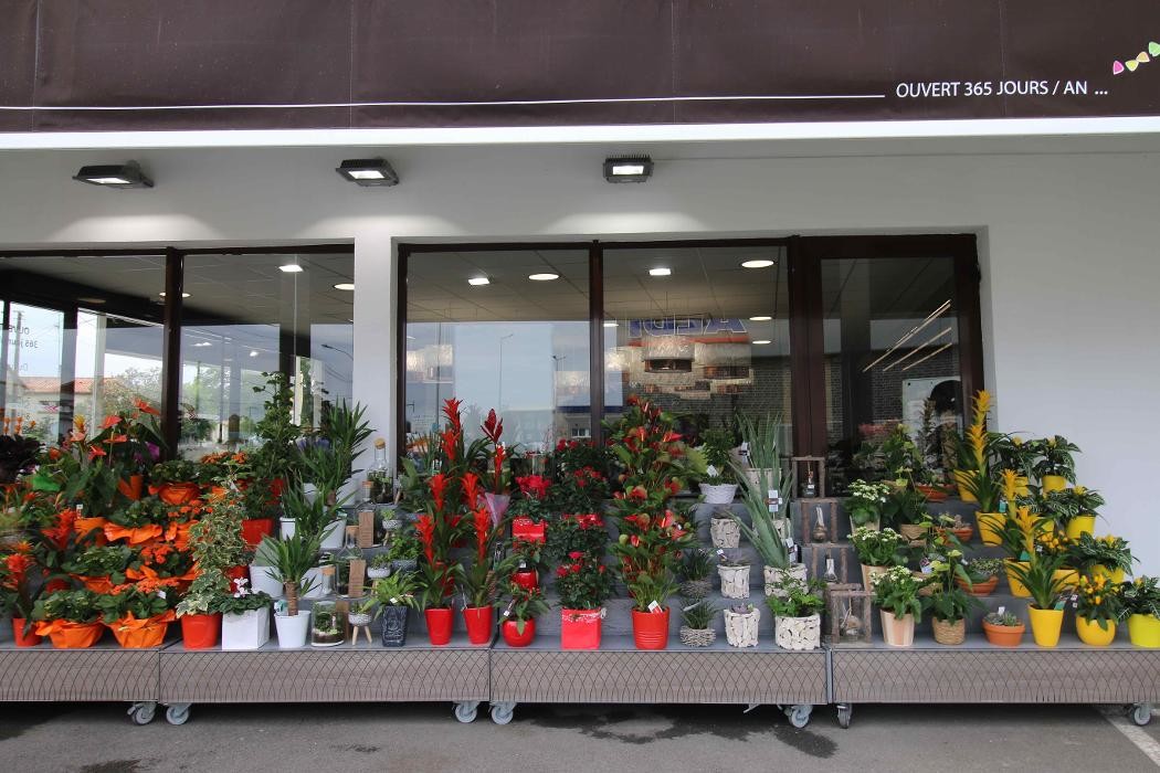 Images Carrément Fleurs - Fleuriste Le Passage Agen 47 - Livraison de fleurs à domicile